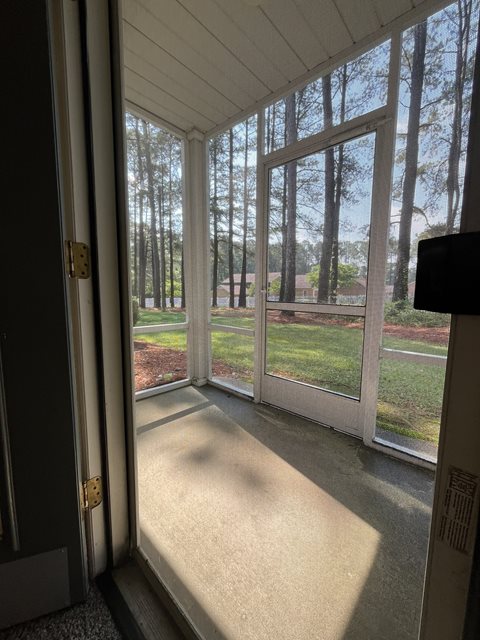 A sunny day in the backyard through the sliding glass doors.