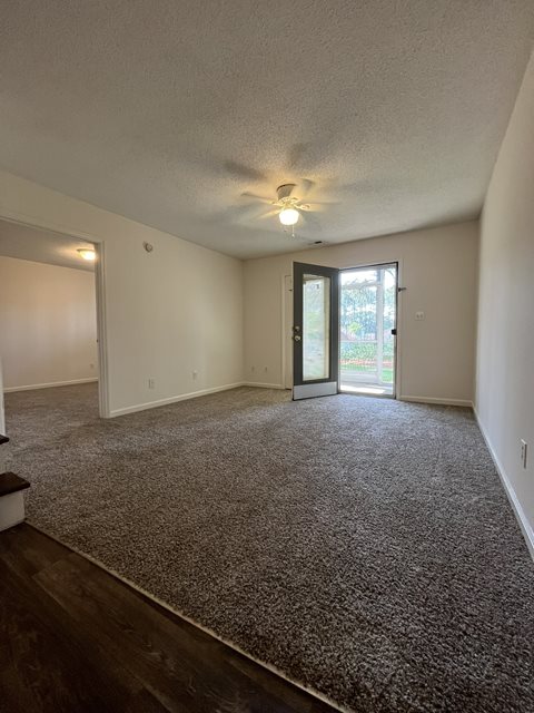 A room with a carpeted floor and a ceiling fan.