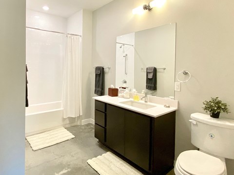 Thornton Flats - Interior Bathroom