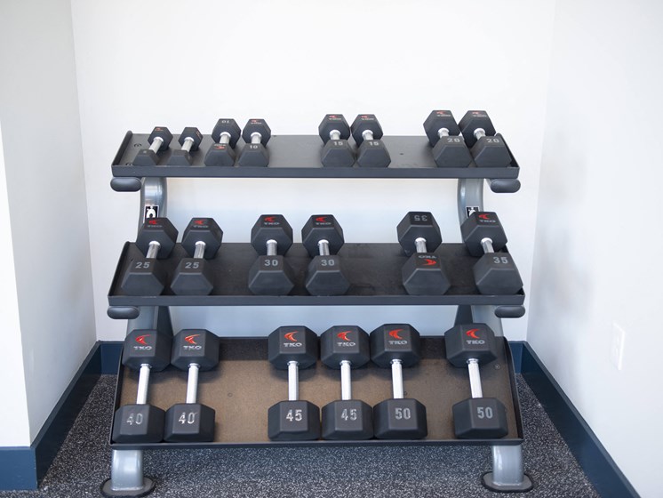 free weights