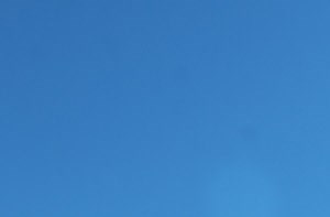 Apartments in Albany, NY