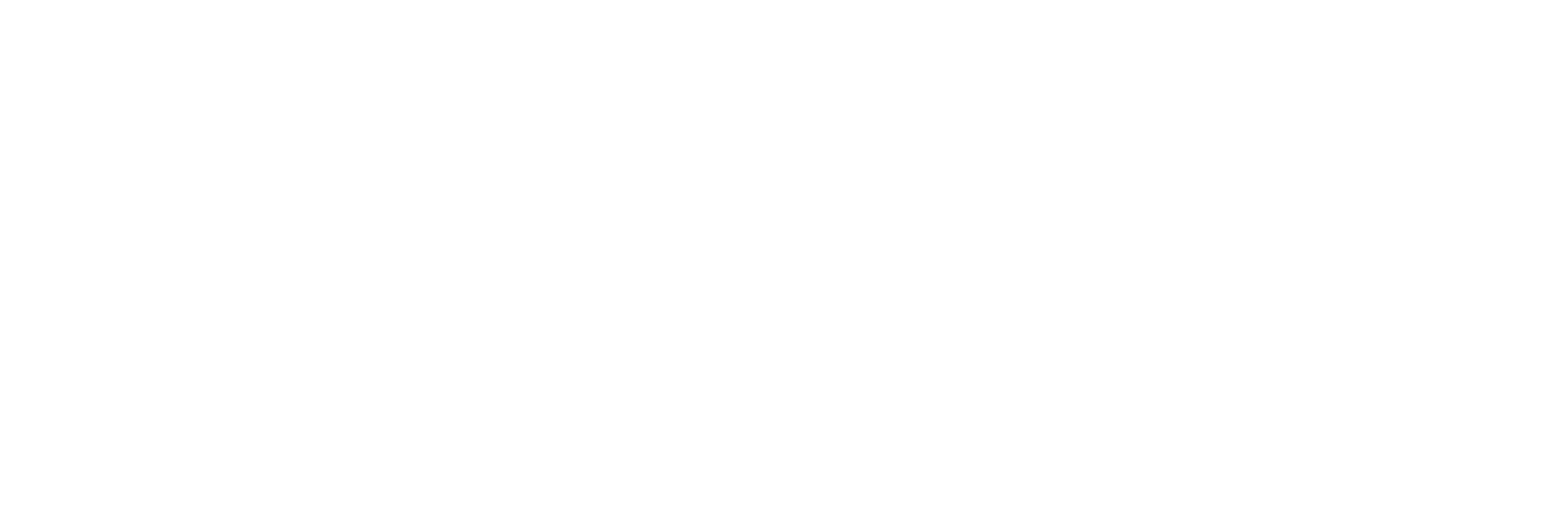 Botnick-Realty-Company_logo-WT