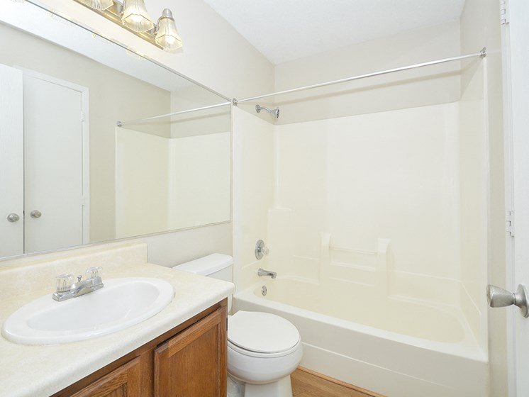 Bathroom with Large Vanity and Wood Style Flooring