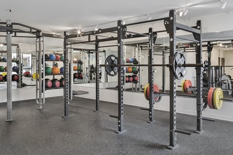 Gym with weight lifting equipment and mirrors