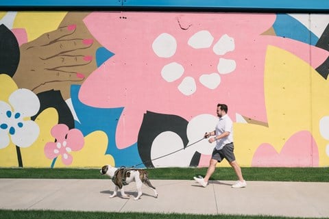 Man walking dog on bike path in front of brightly colored mural