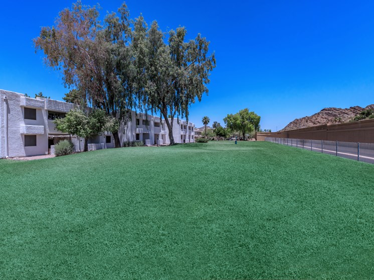 Spacious manicured lawn area at Ascent 1829 pet-friendly apartment community in East Phoenix, AZ