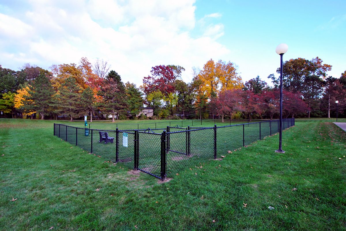 the view apartment and townhomes dog park