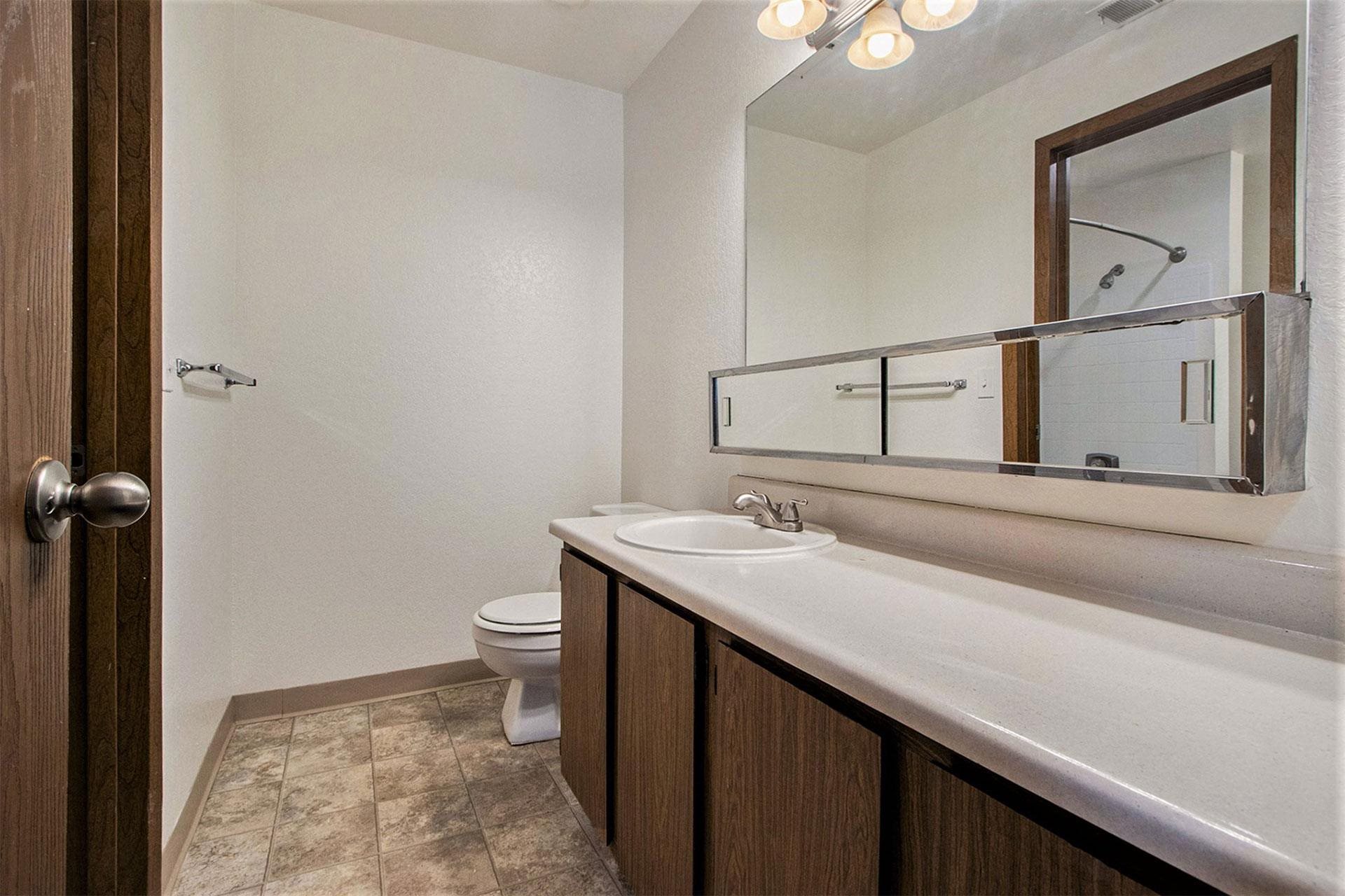 a bathroom with a sink and a toilet and a mirror