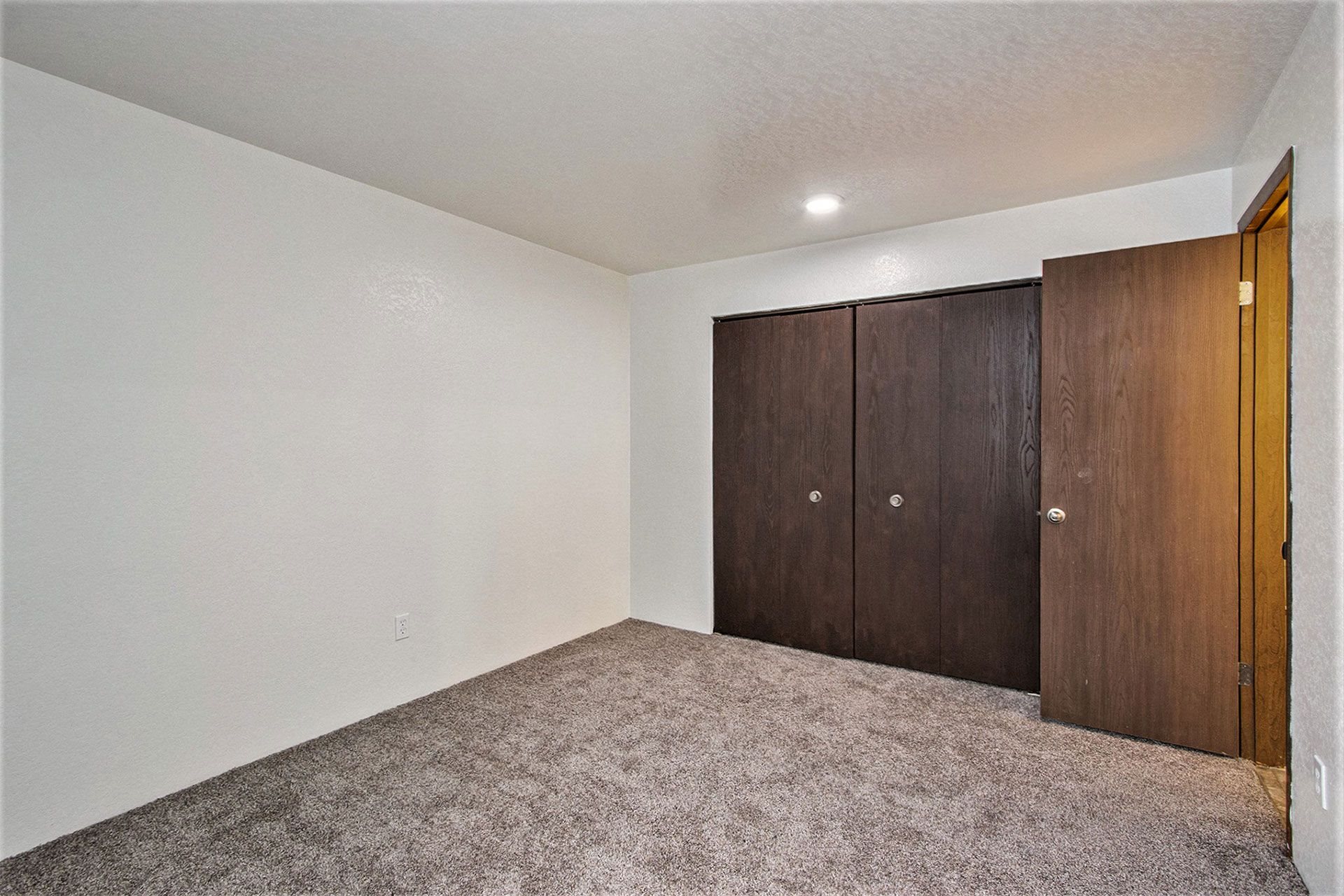 a room with carpet and two closet doors