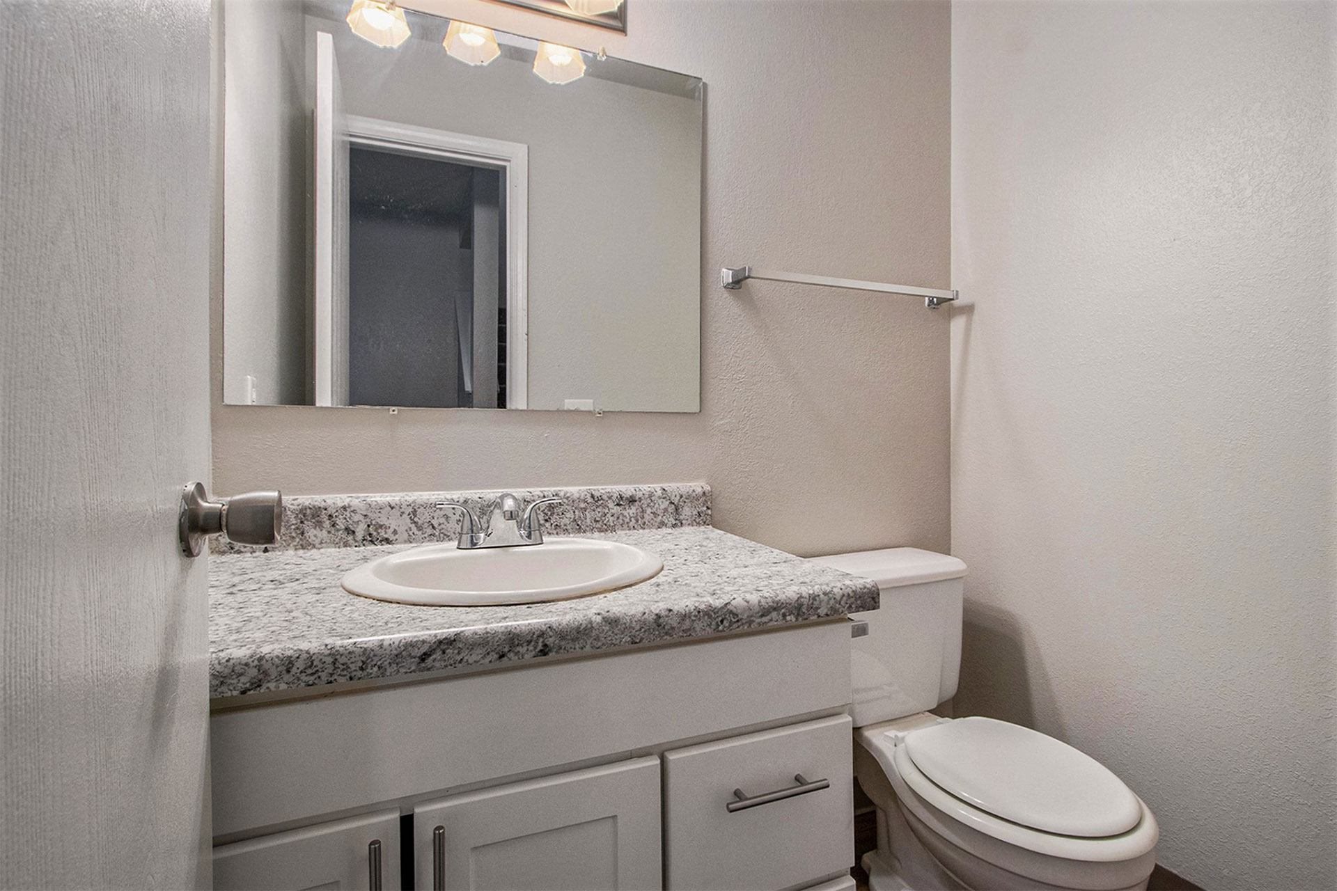 a bathroom with a sink and a toilet and a mirror