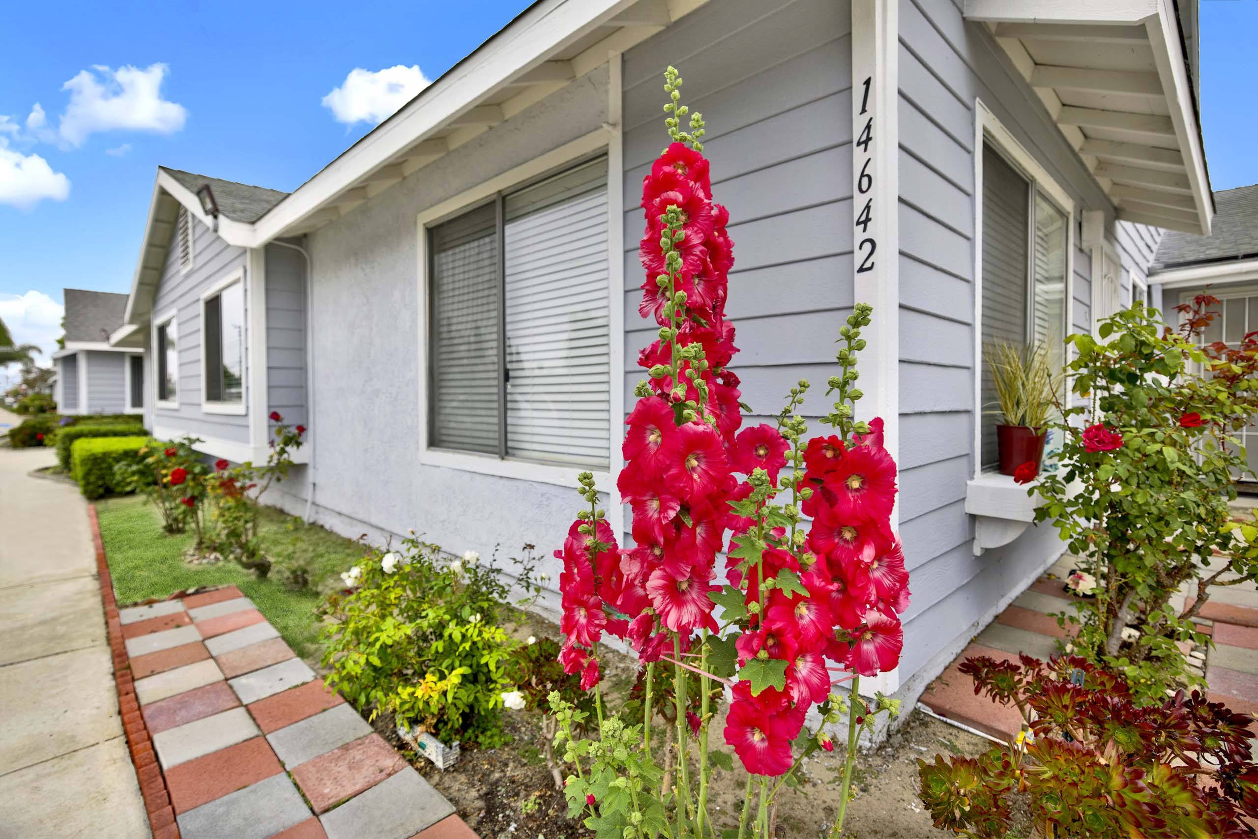 A house numbered 1464 with a red flower in front.