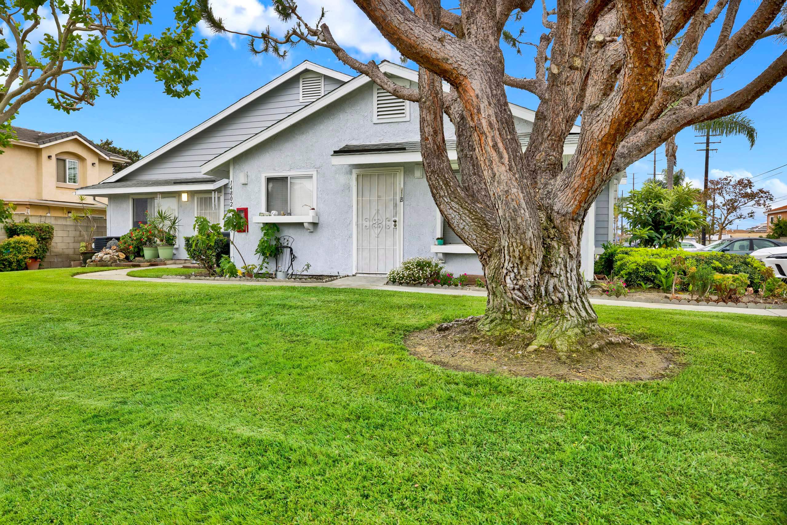 A house with a tree in front of it.