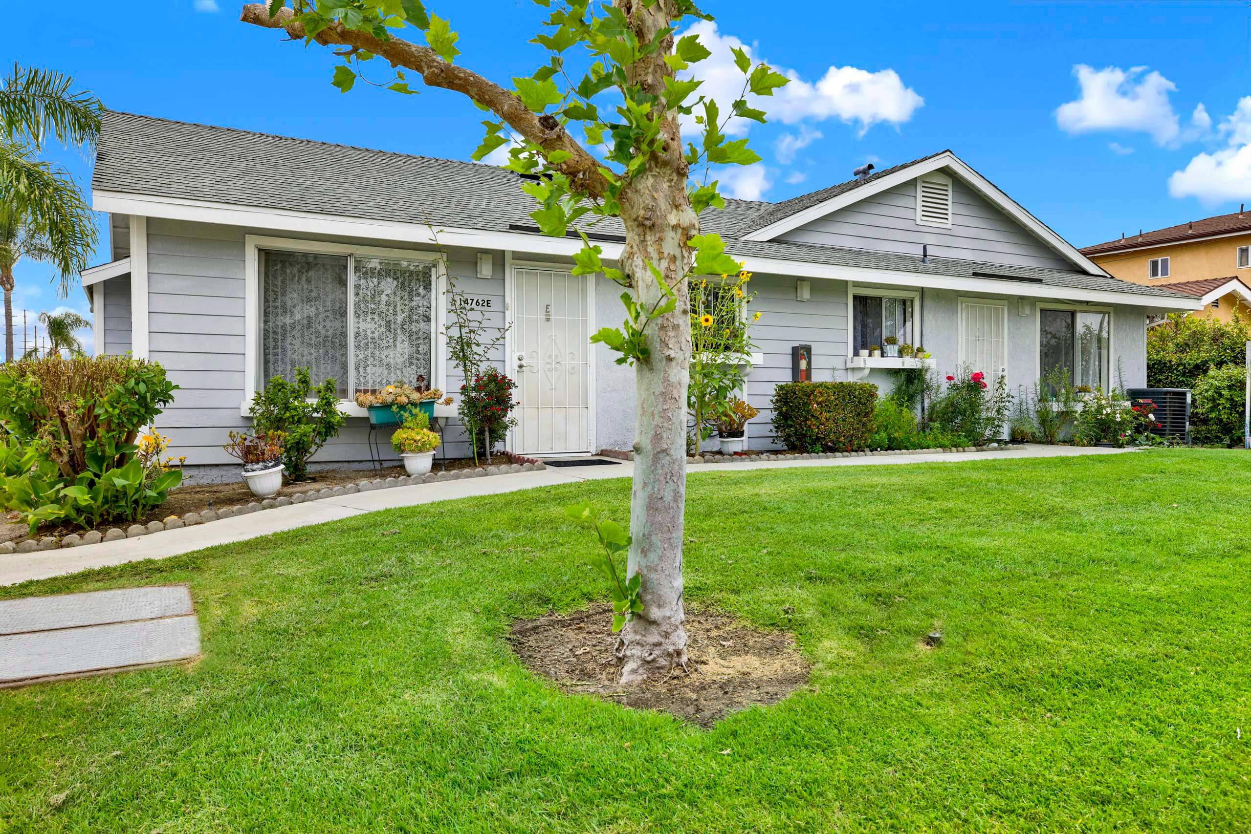 A tree in a small garden in front of a house.