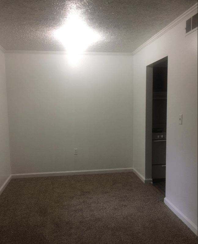 a living room with a carpet and a closet