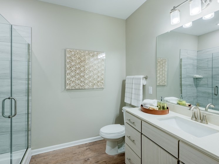 Spartanburg apartment bathroom with stand alone shower and double vanity at Bon Haven