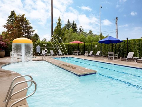 Enjoy the Sparkling Pool!