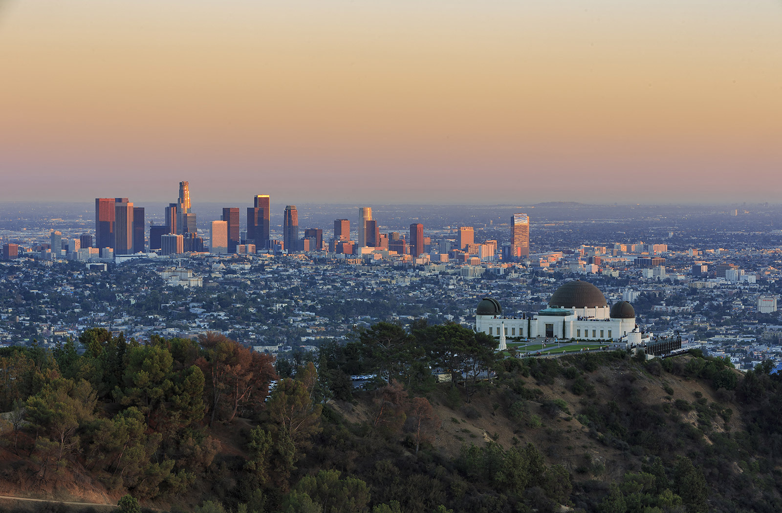 Afton Properties Apartments in Los Angeles, CA Home