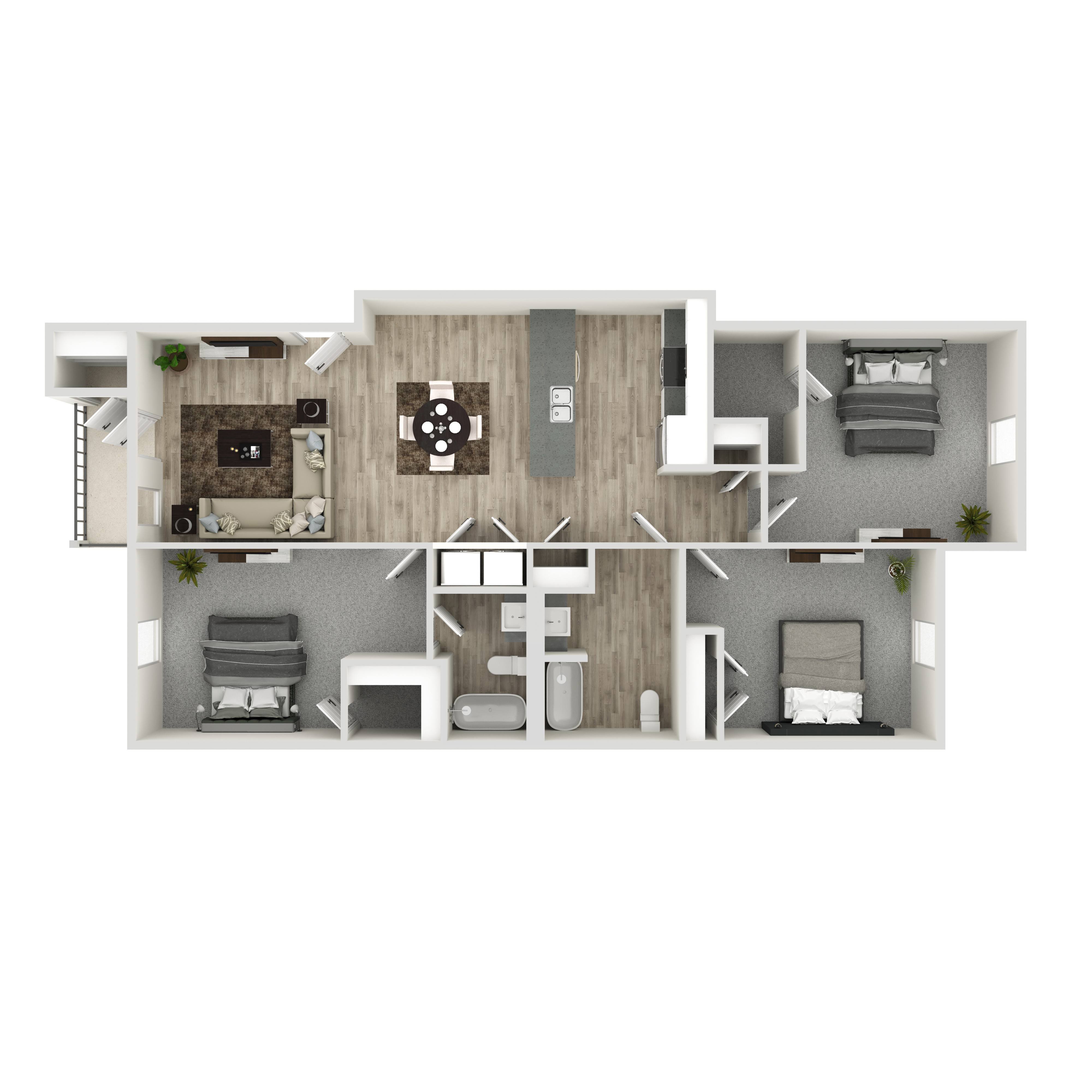 C1 Image