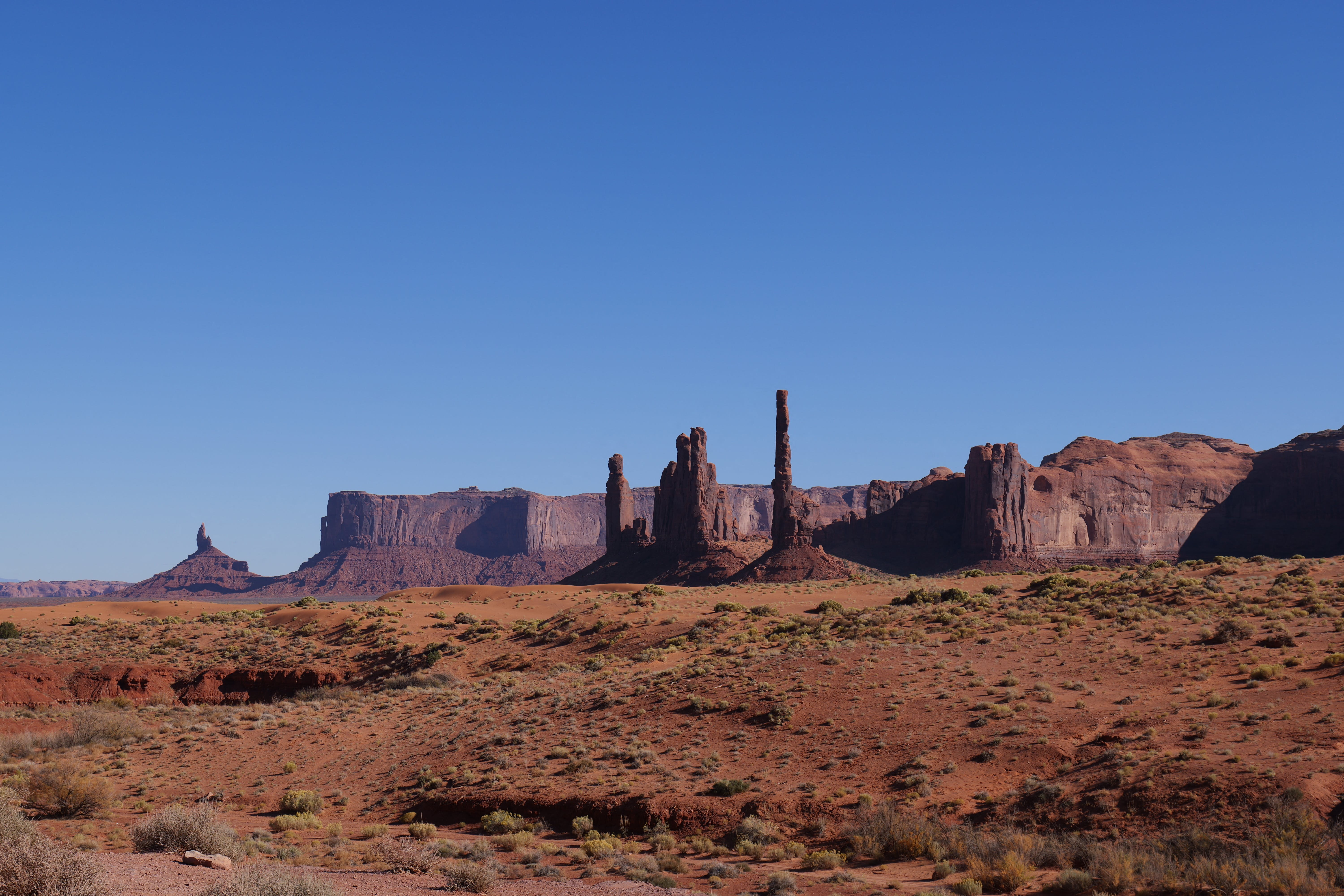 Tempe Desert