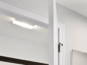 Vanity mirror and bathroom adjacent to bedroom.