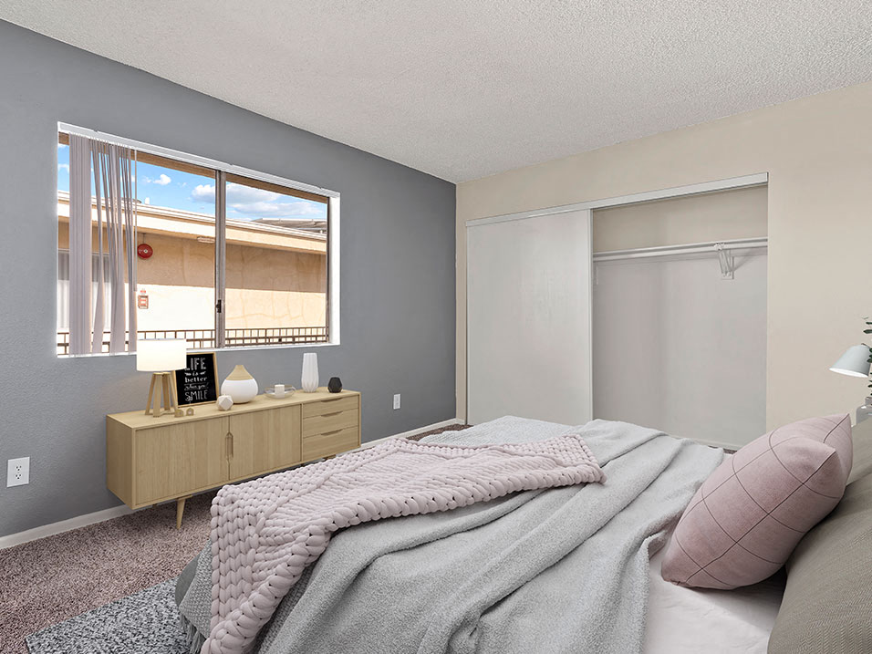Carpeted bedroom with accent wall and large natural light window.