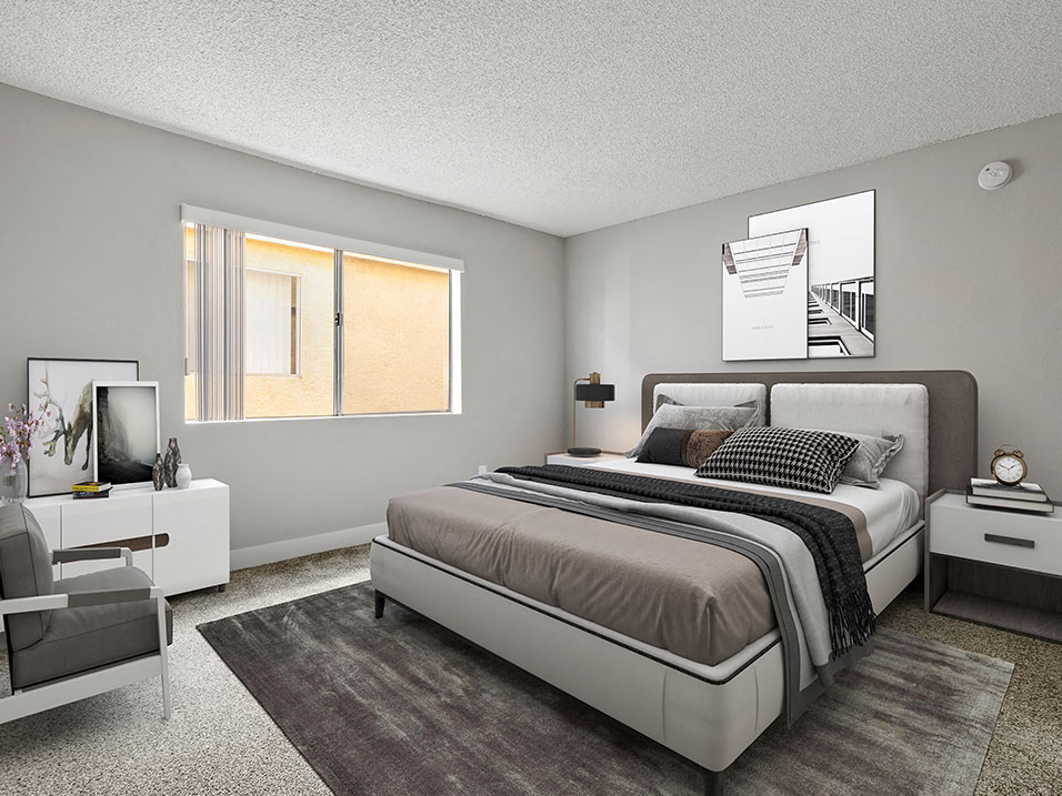 Carpeted bedroom with accent wall and large natural light window.