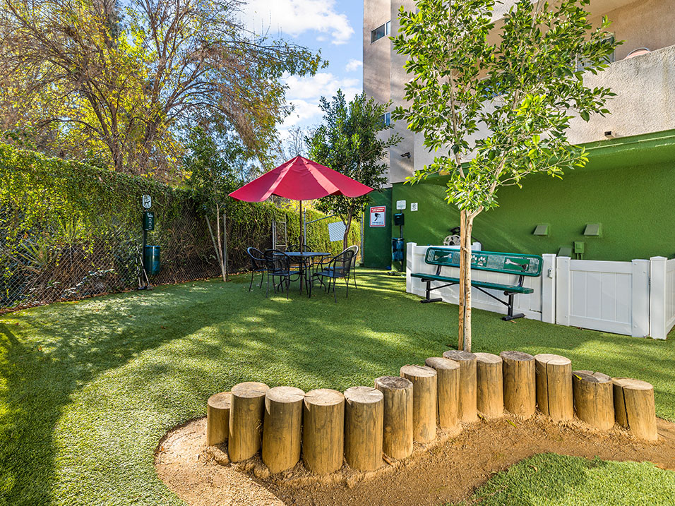 Gated dog agility park in rear of Catalina Apartments.