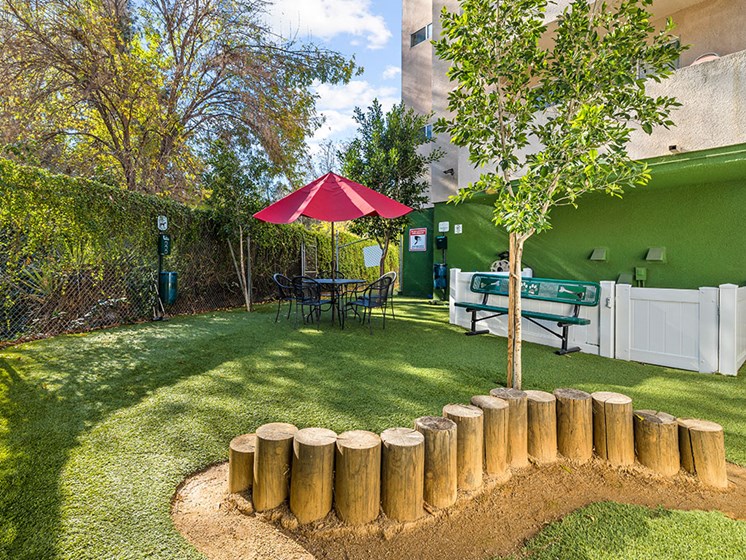 Gated dog agility park in rear of Catalina Apartments.