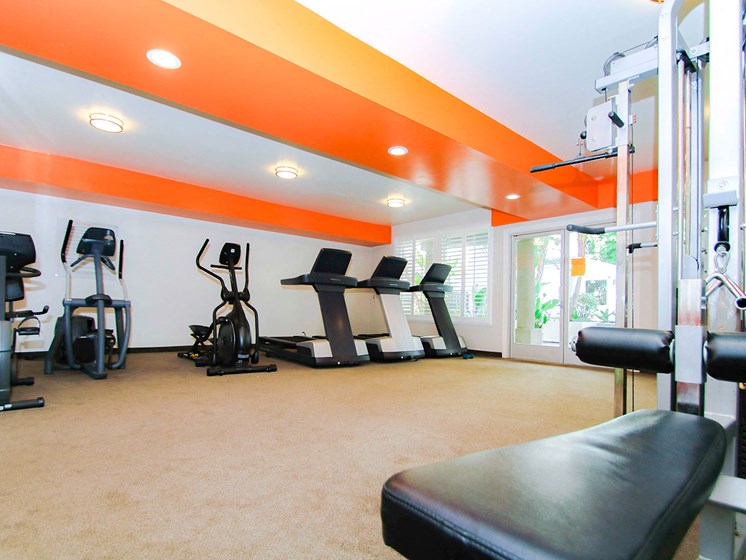 Fitness Center With Treadmills and Weight Machines.