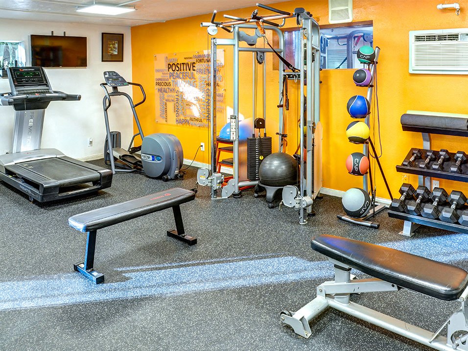 a gym with weights and cardio equipment in a home gym