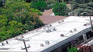 Drone view of Carpenter School, next door to building.