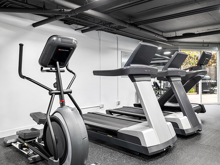 Fitness center including multiple treadmills, bikes, and ellipticals.