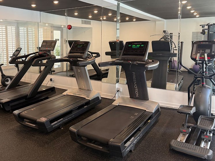 Fitness Center With Treadmills, Free Weights, and Bikes.