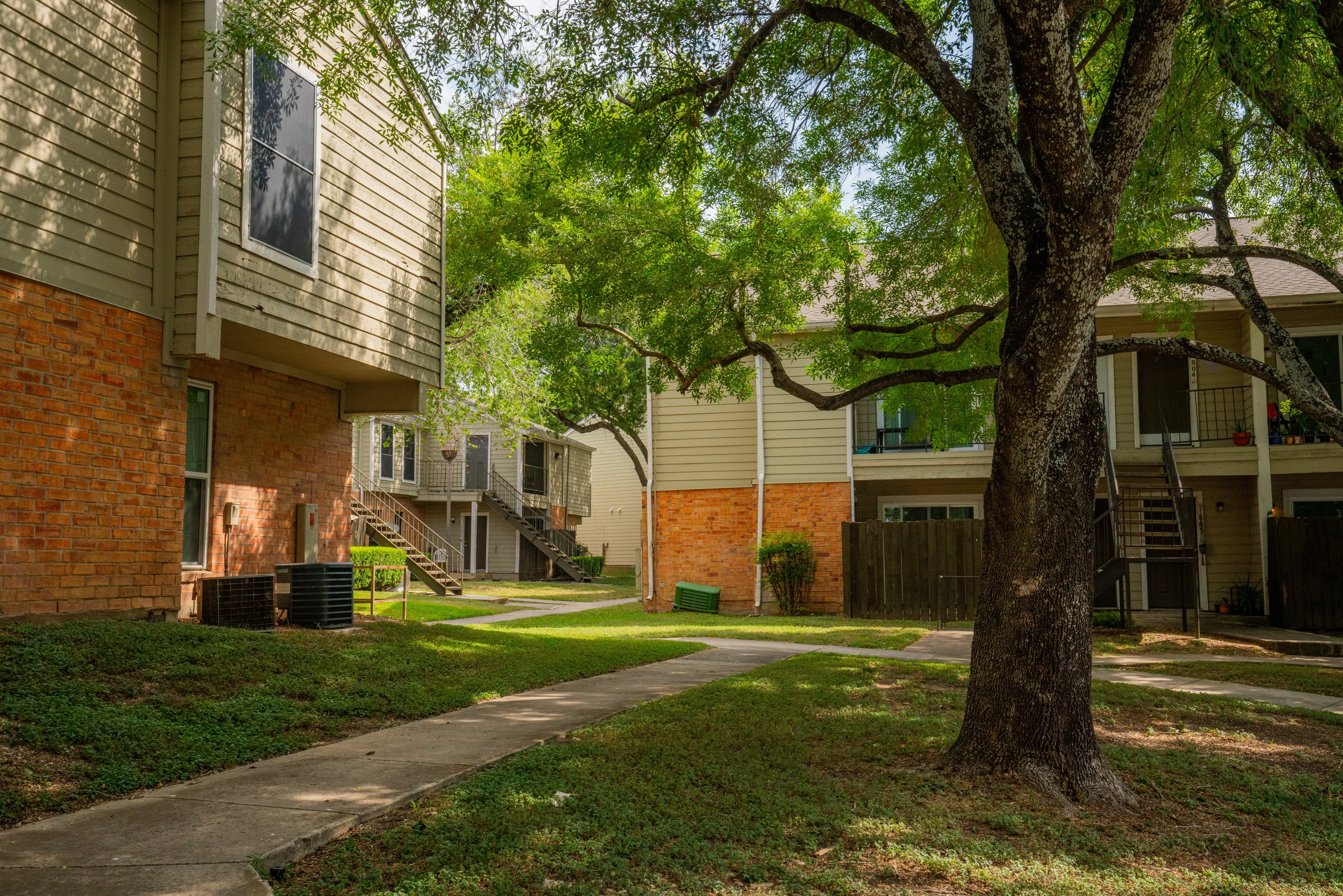 A tree in a grassy area in front of a building.