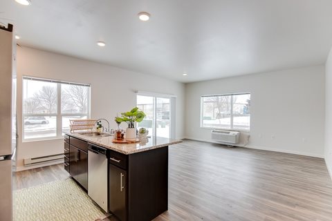 A kitchen with a black countertop and a dishwasher.