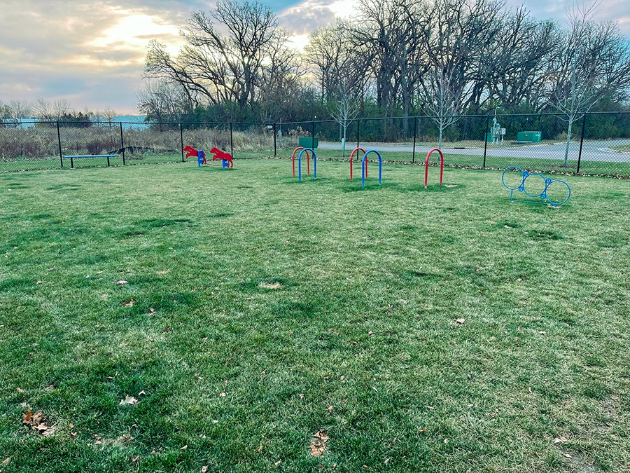 Dog Park