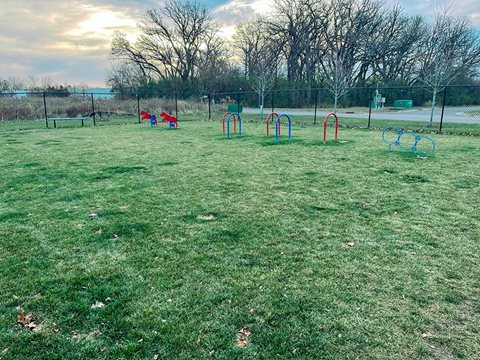Dog Park