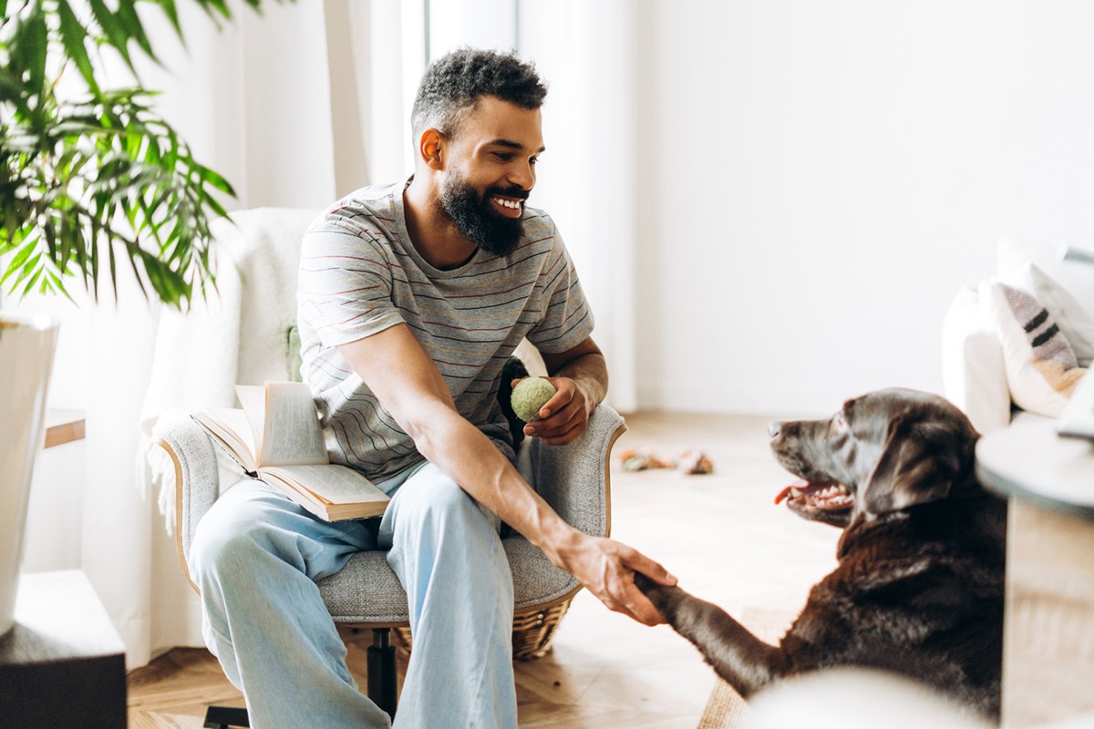 A man is sitting on a chair with a book in his lap and a dog is reaching out to him.