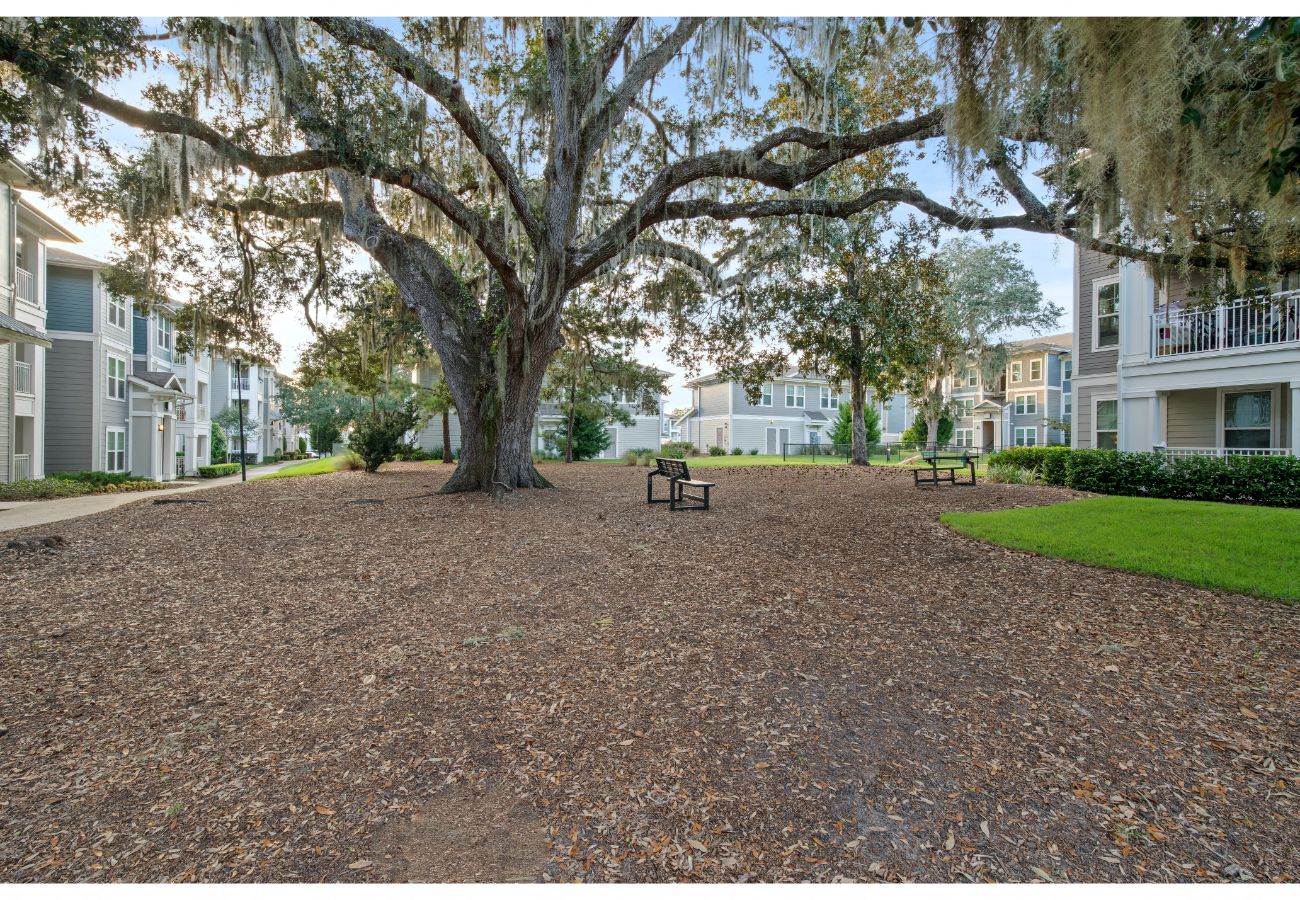 Park Avenue Apartments in Gainesville, FL