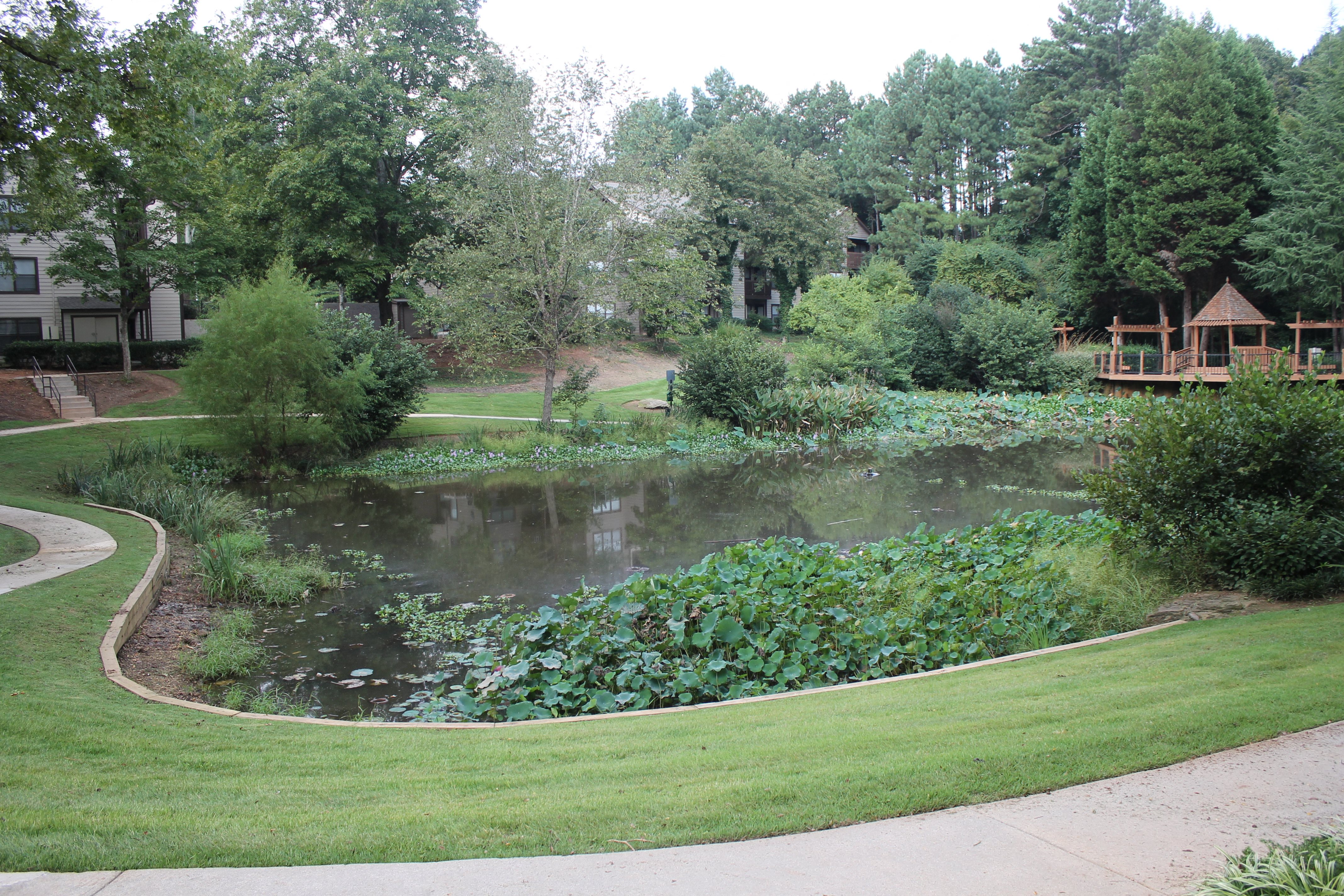 Gallery Photo 8