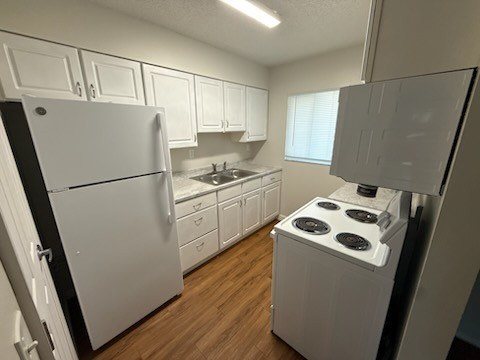 Gallery Photo 6