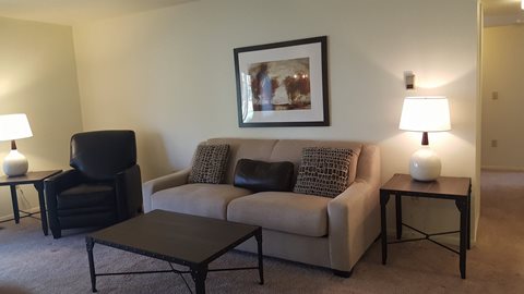 birchwood poitne apartments furnished living room
