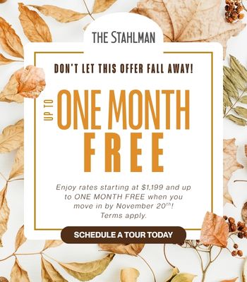Special Offer