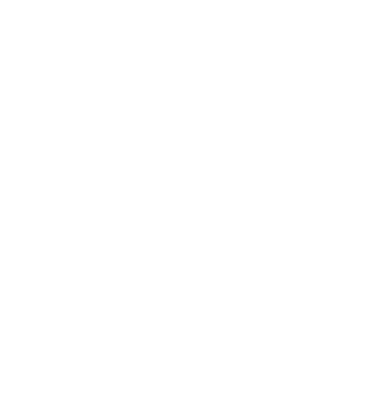 Brix Logo white