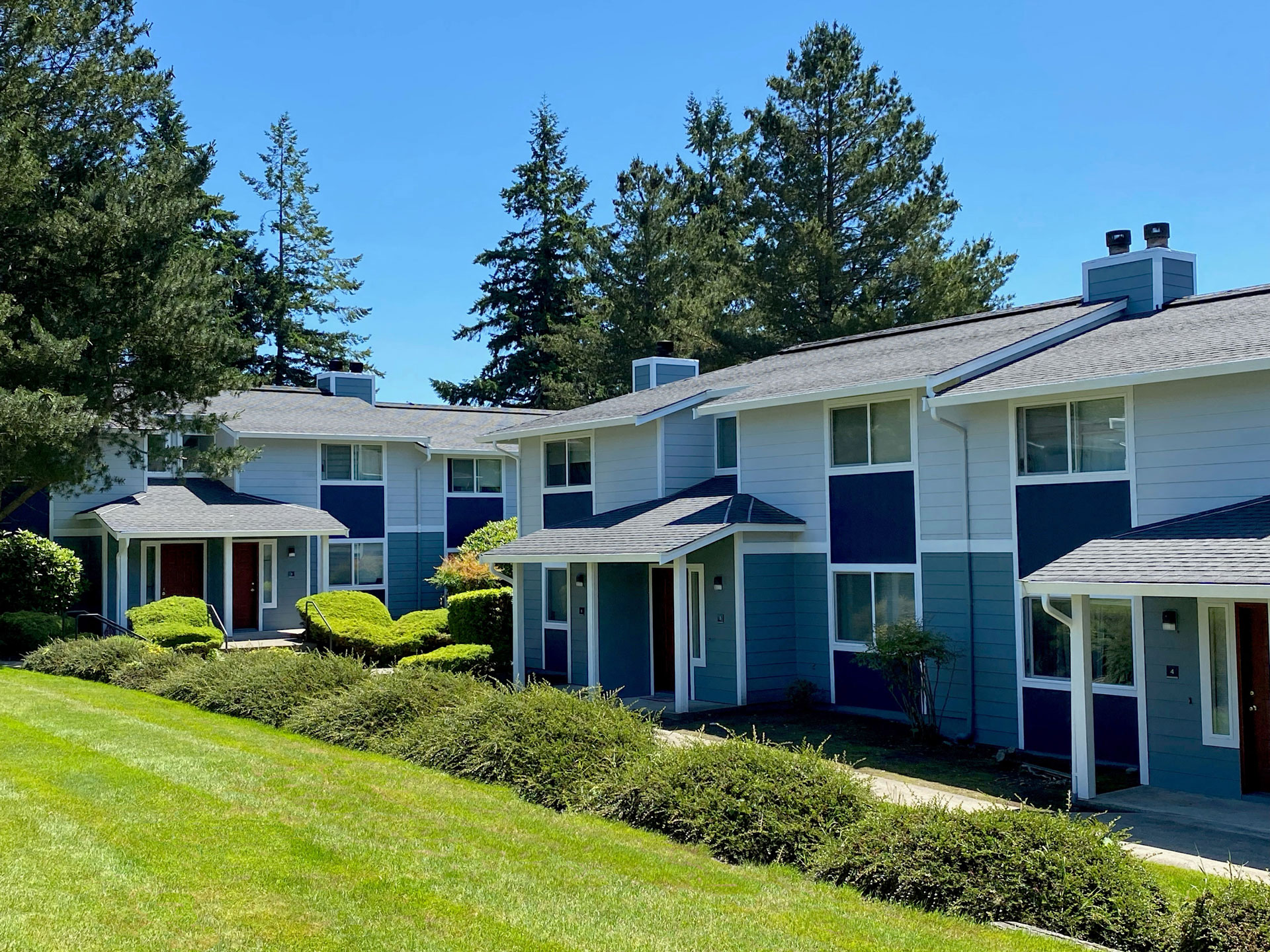 Townhome exterior with blue accents, well-manicured grass, green hedges, patios, and large trees behind. at Hawks Prairie, Washington, 98516