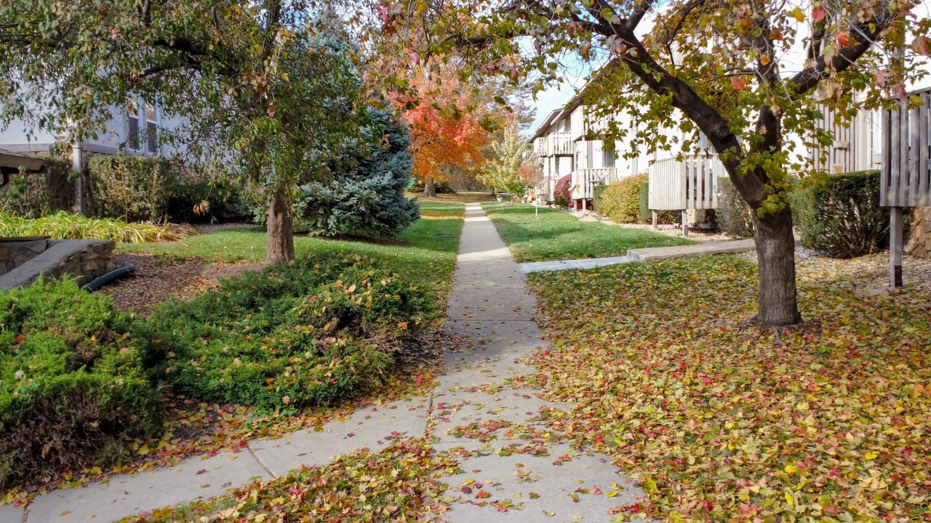 a sidewalk with gorgeous trees in front of houses