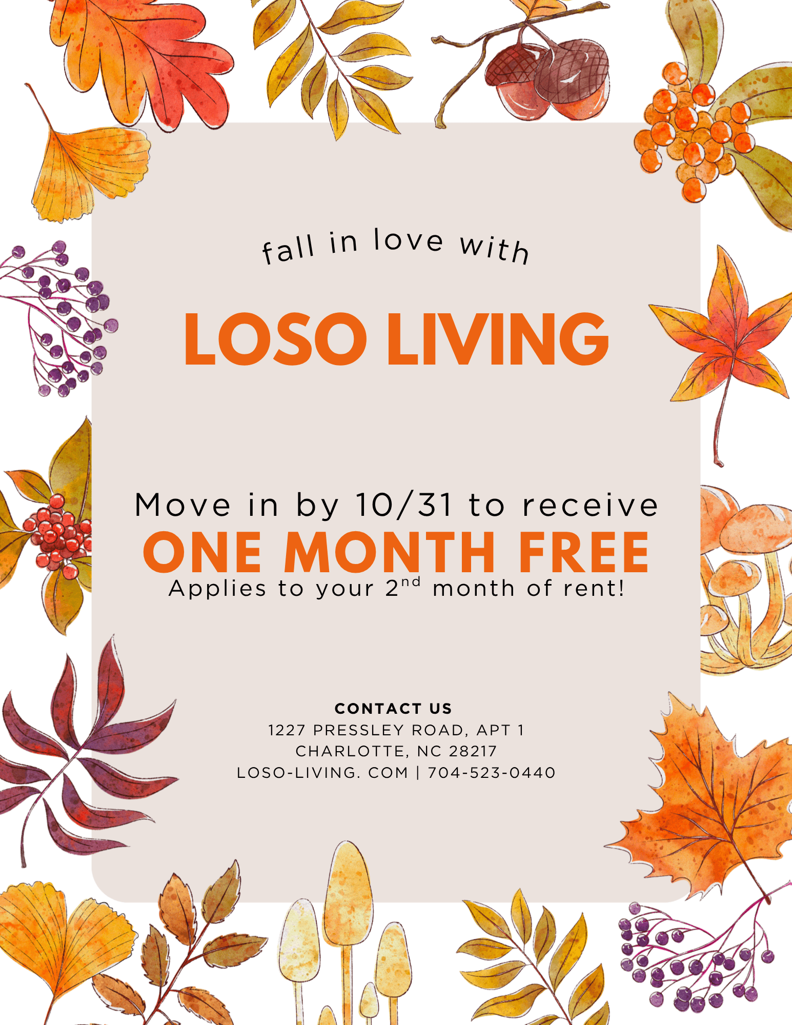 LoSo Fall Special
