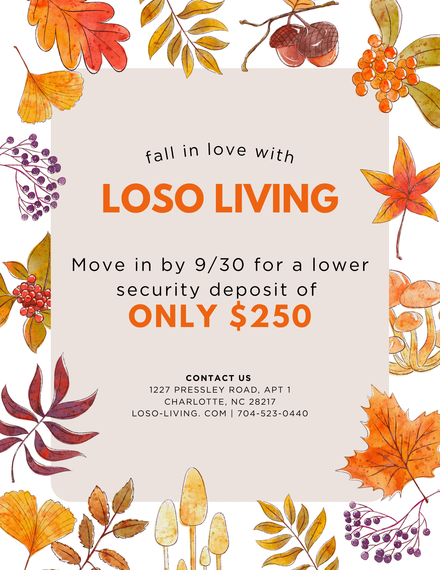 LoSo Fall Special