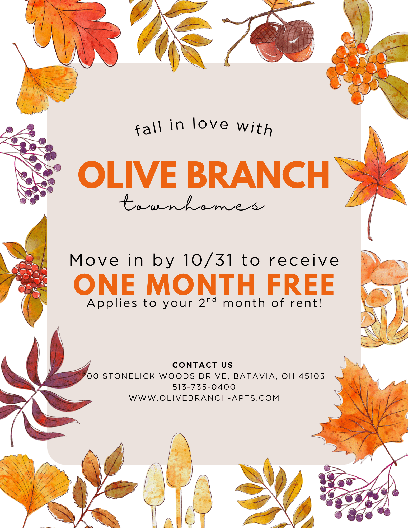 Olive Branch Fall Special