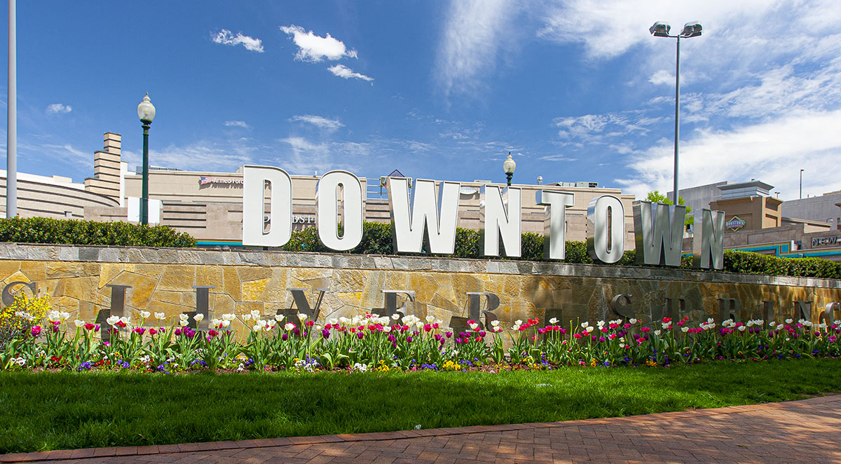 Nearby Downtown Silver Spring